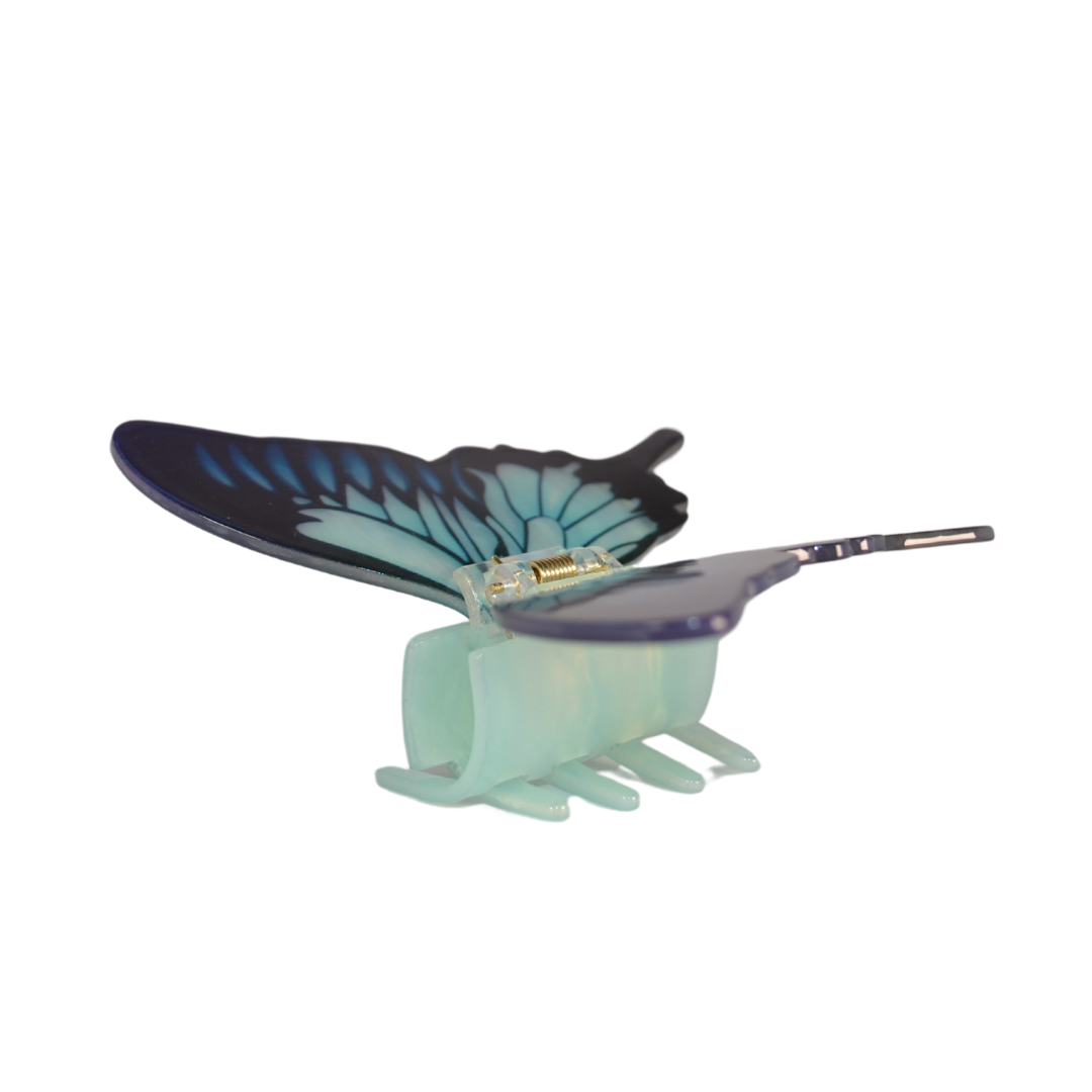 Blue Butterfly